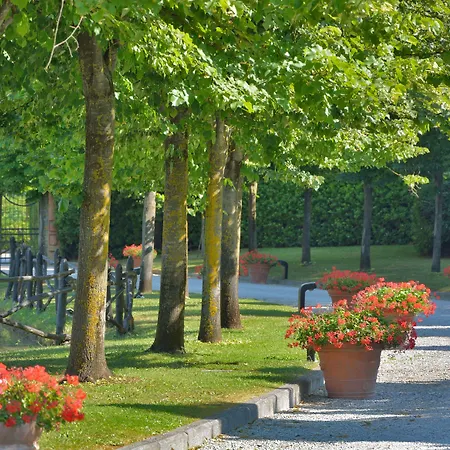 Calamidoro Calcinaia
